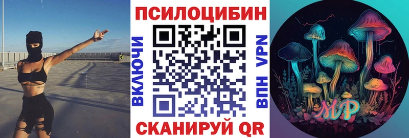 kraken маркетплейс  Апатиты  Псилоцибиновые грибы GOLDEN TEACHER  где можно купить  