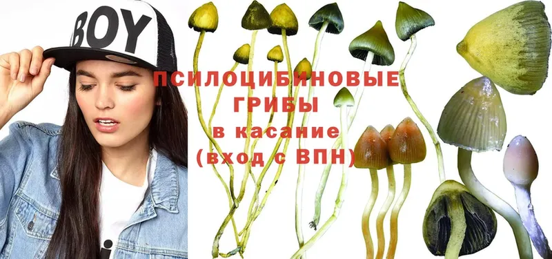 Галлюциногенные грибы Magic Shrooms  Апатиты 